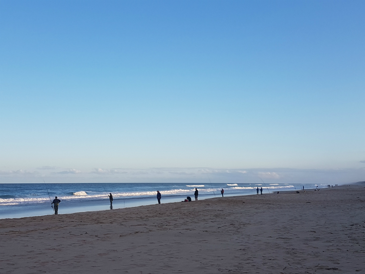 Surf fishing