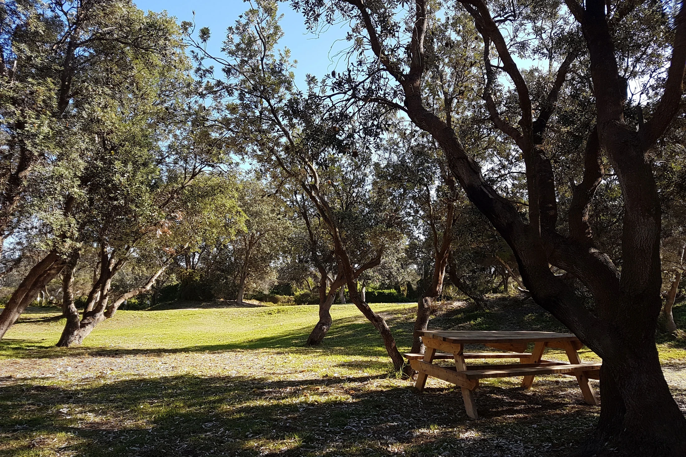 Woodside Beach Camping