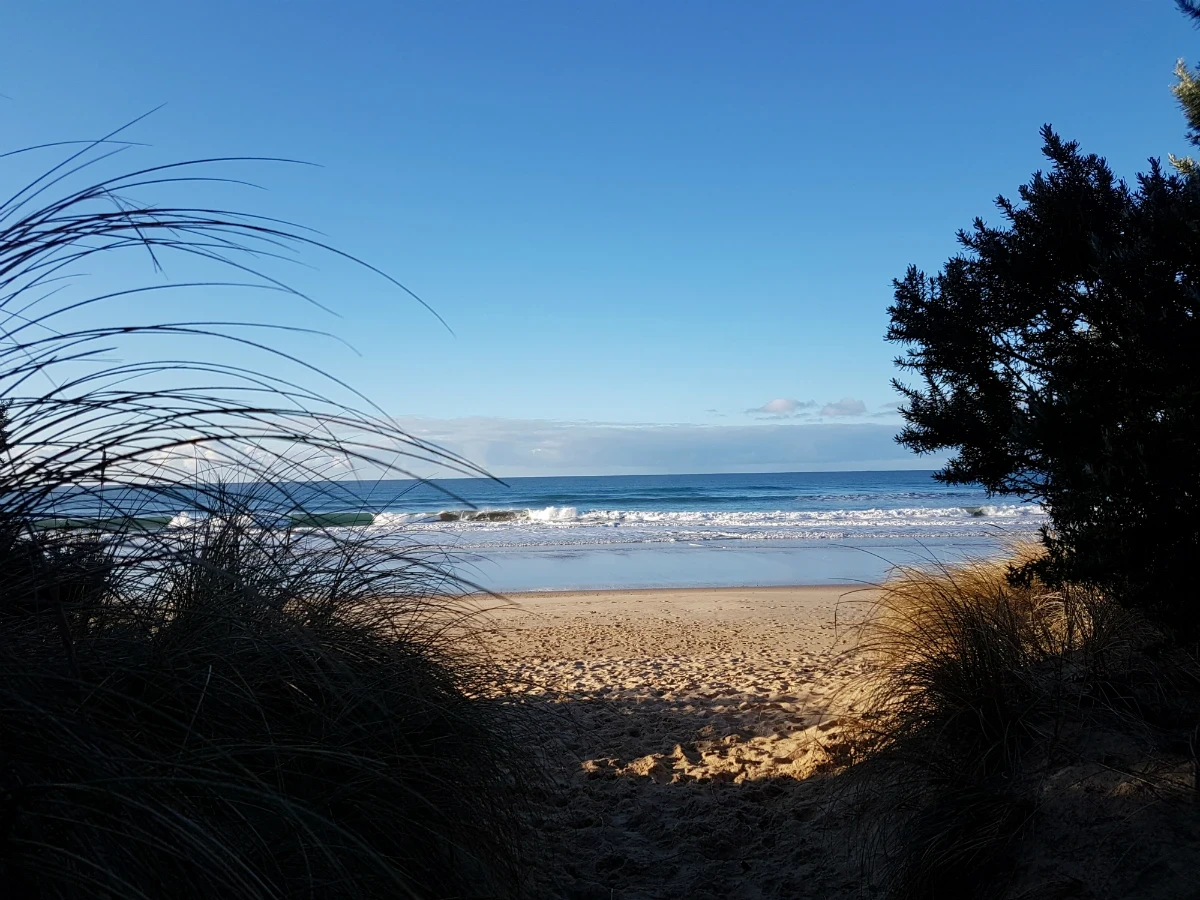 Walkway to beach