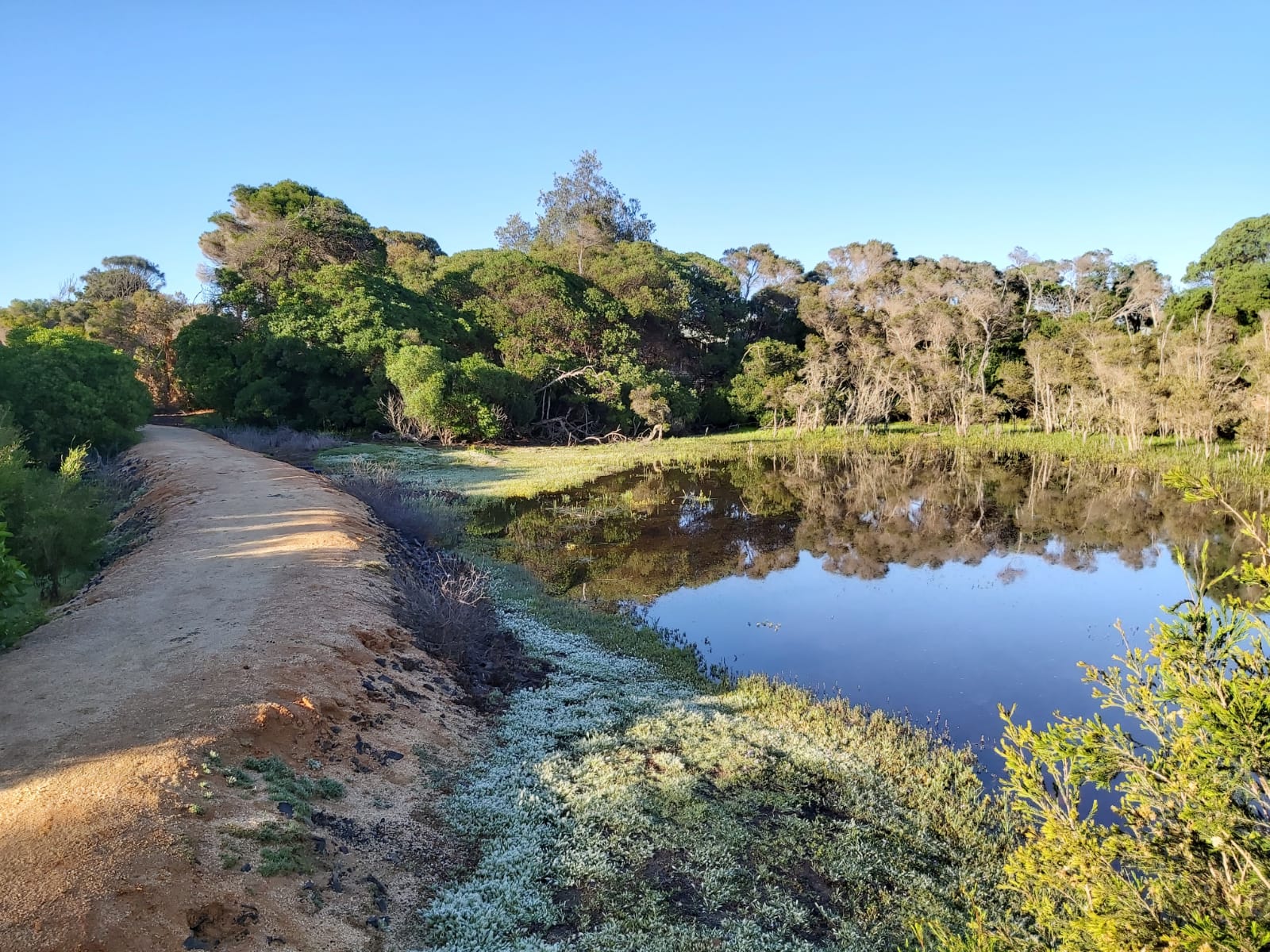 Our wetlands area